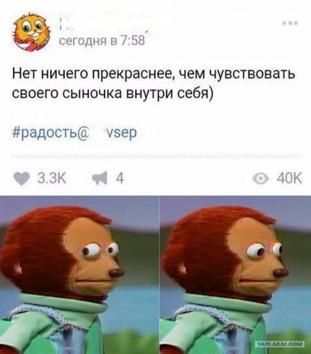 Нуштош 01.03.23