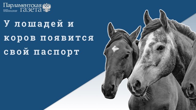 Победная поступь идиотизма по планете – том 12
