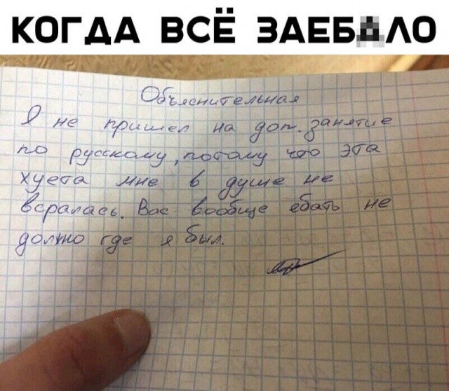 Весёлый полтишок 21.05.23
