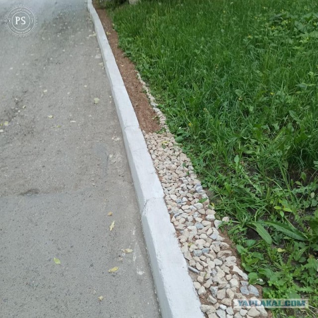 В Госдуме предложили ввести уголовное наказание за порчу клумб или сорванную сирень