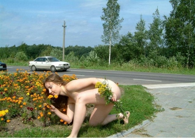 Обычные красивые девушки.