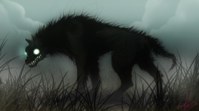 Помогите опознать зверя.