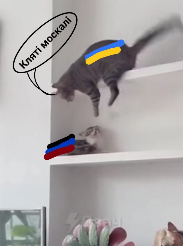 Нельзя маленьких обижать