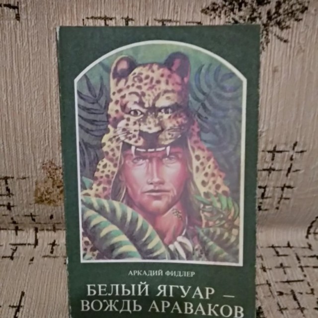 Книги, которыми мы зачитывались. "Хиты" приключенческого и исторического жанра из нашего детства