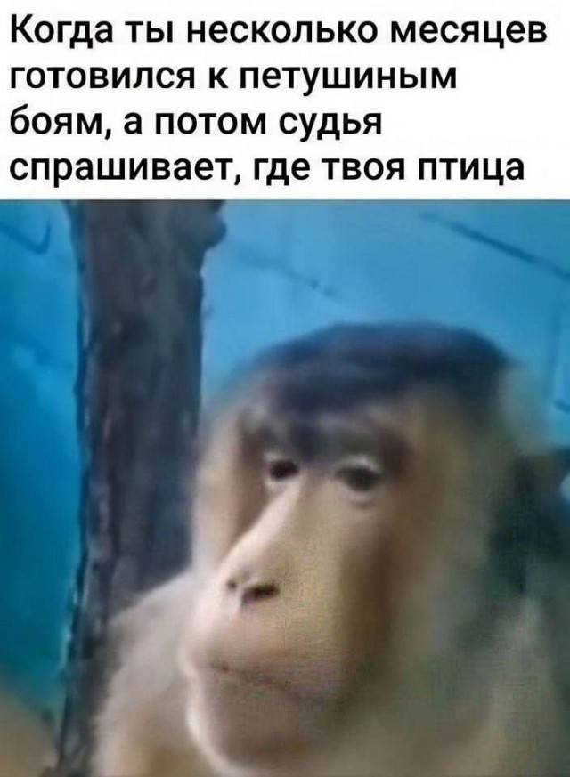 Немного картинок 13.06.24