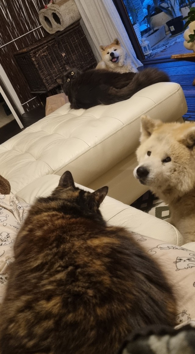 Беда пришла в мой дом