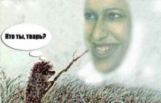 К юбилею "Ёжик в тумане".