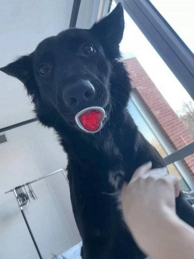 Картинки разные с надписями и без