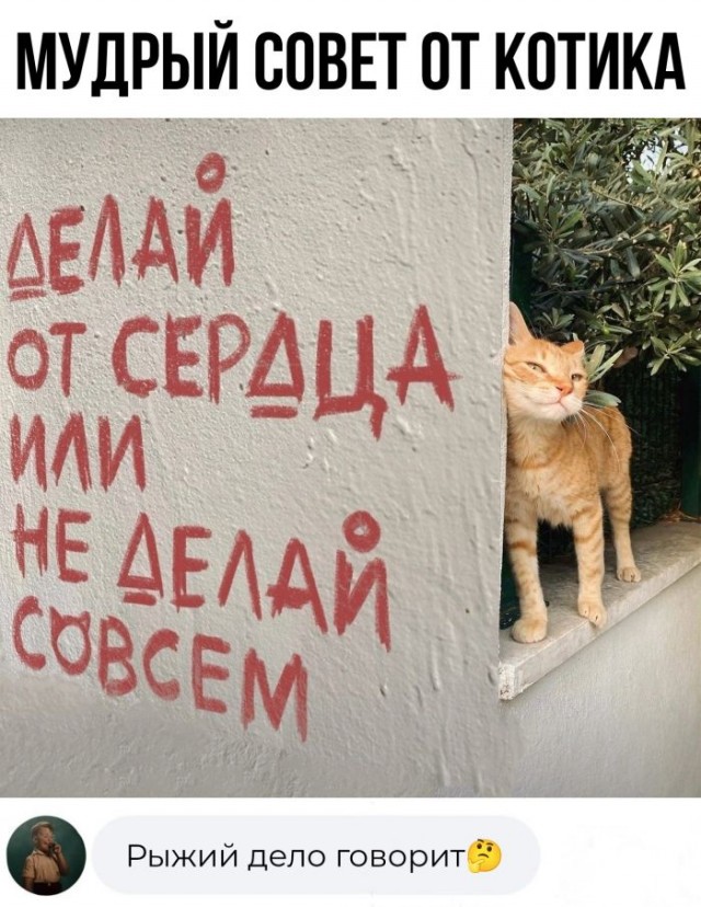Так себе картинки 10.12.24