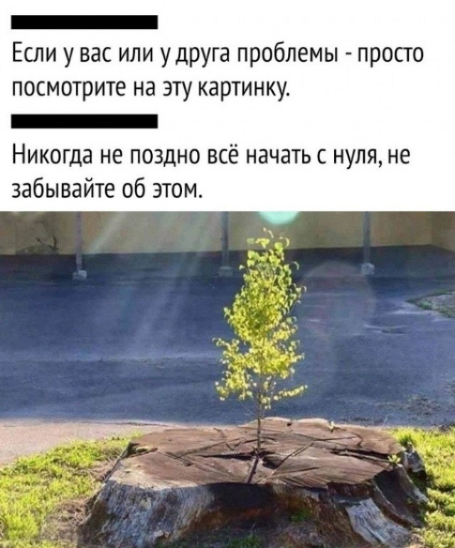 Баяны: апрель 2023 г - июль 2023 г
