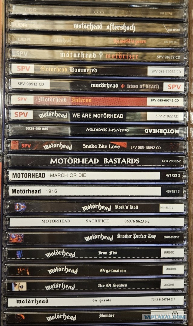 Музыка и музыканты: Золотой юбилей Motörhead