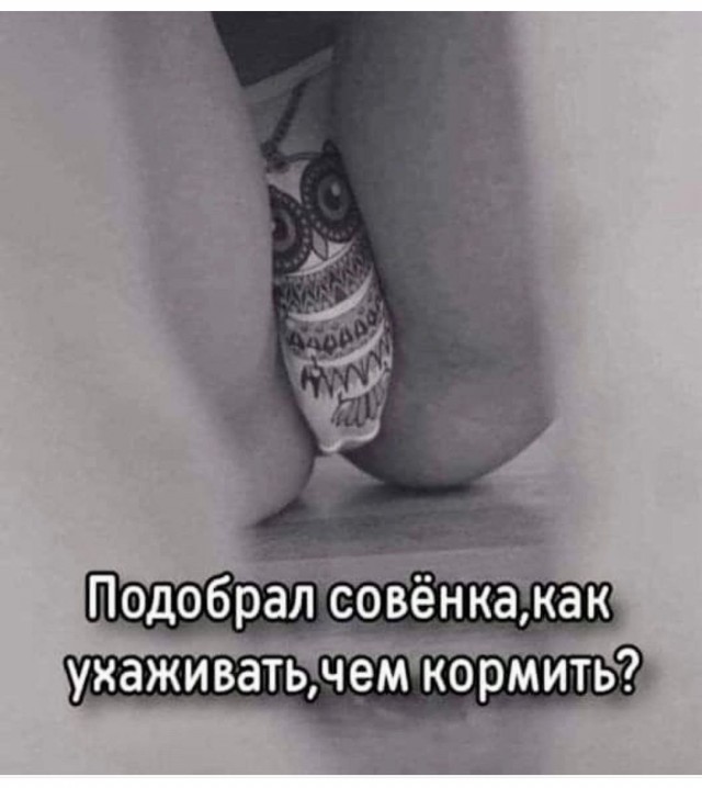 Из мира деградации - 14