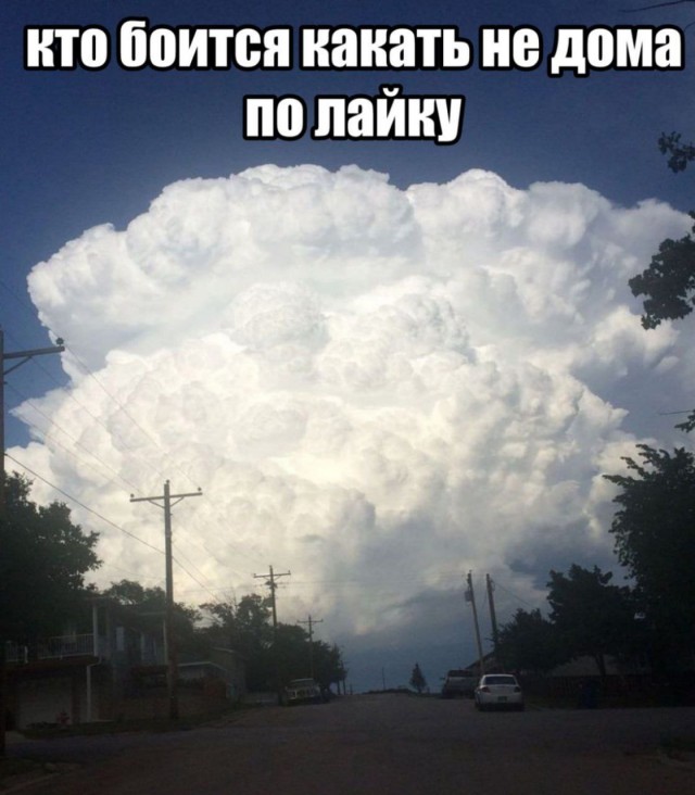 Всего понемногу. От 08.03.2025