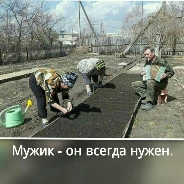 Так себе картинки 20.03.25