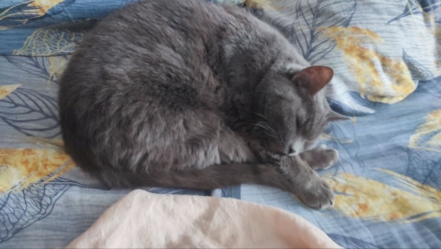 Посмотрите, кого я нашёл на улице