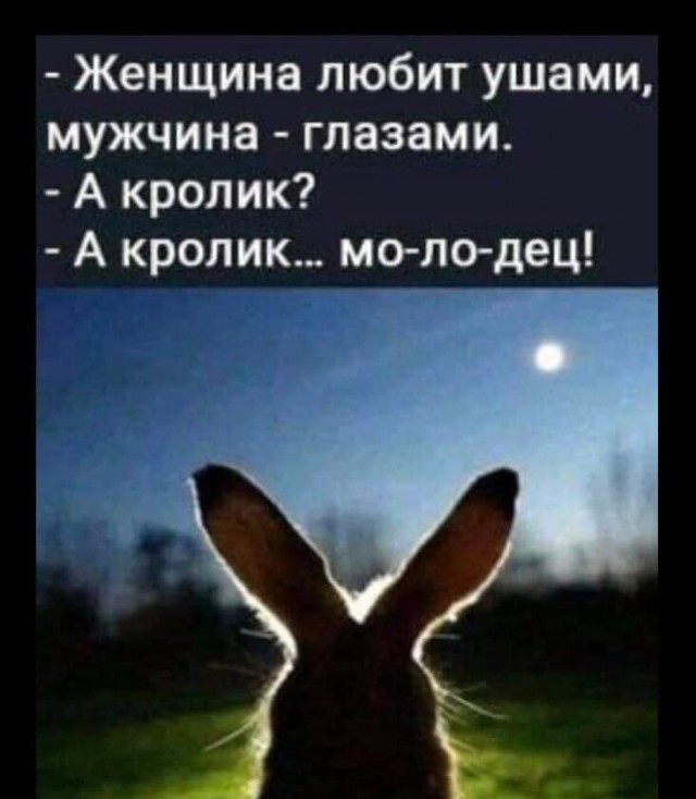 Так себе картинки   "Финал"