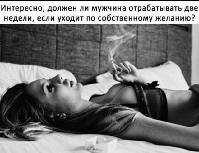 Так себе картинки 27.05.25