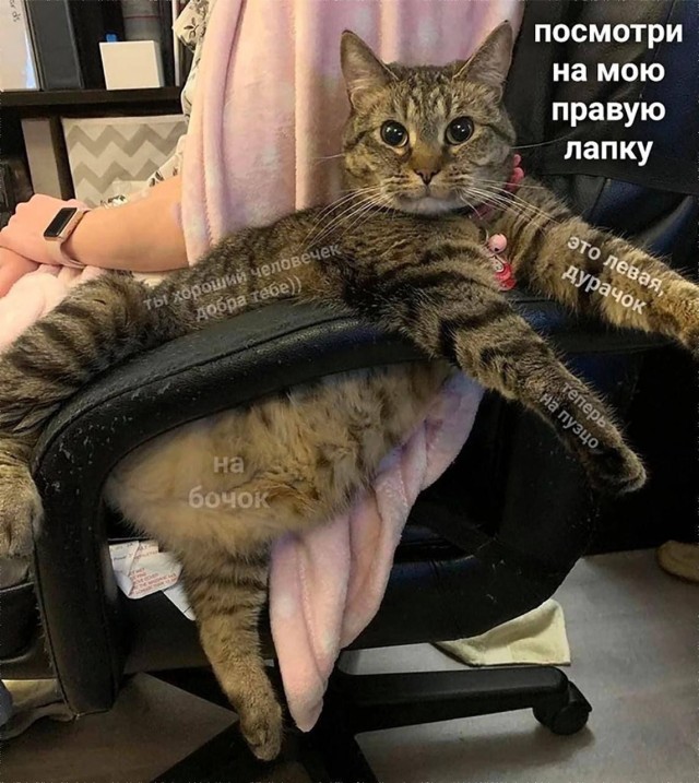 Разомните глазоньки