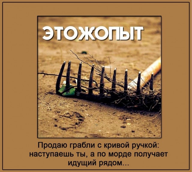 Так себе картинки 01.08.25