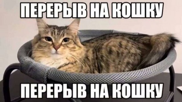 Немного картинкафф для настроения (баяны-перебаяны)