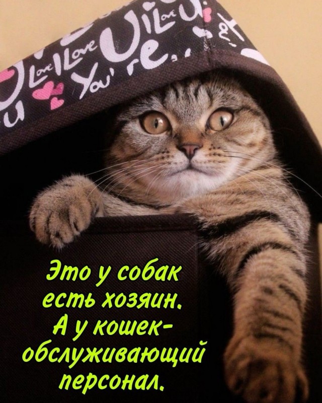 Прикольные и просто красивые картинки 26.09.2025