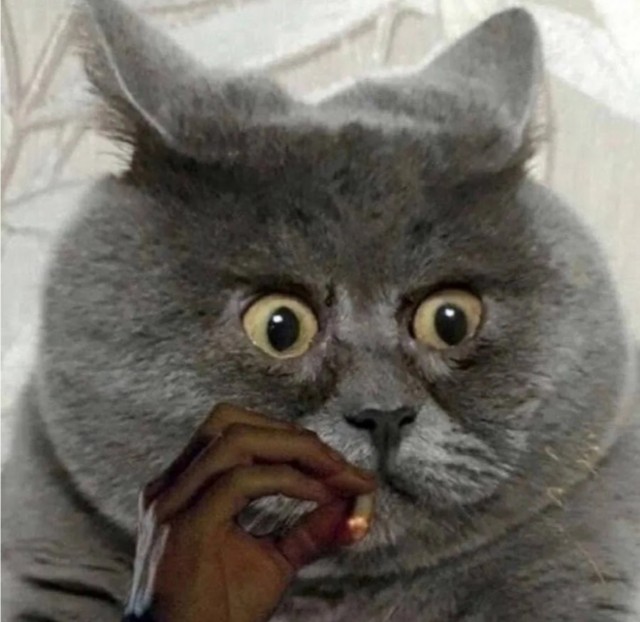 Вот это поворот