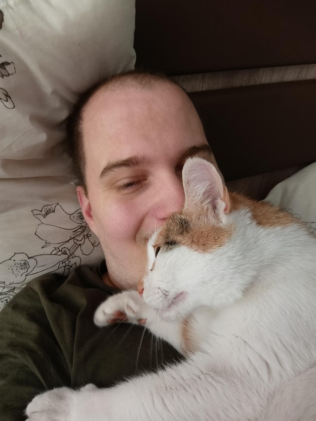 Мужчина поймал любимую кошку через год после пропажи, она в тот же день вспомнила его, дом и свои игрушки