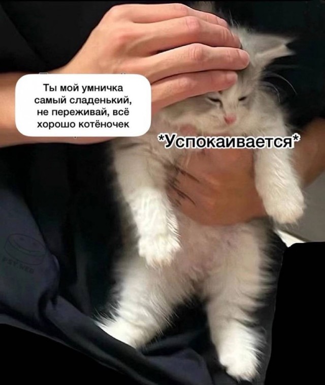 Небаянистая деградация 7