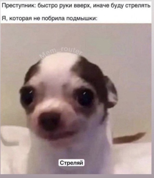 Картинки для деградации 89 (разной степени свежести)