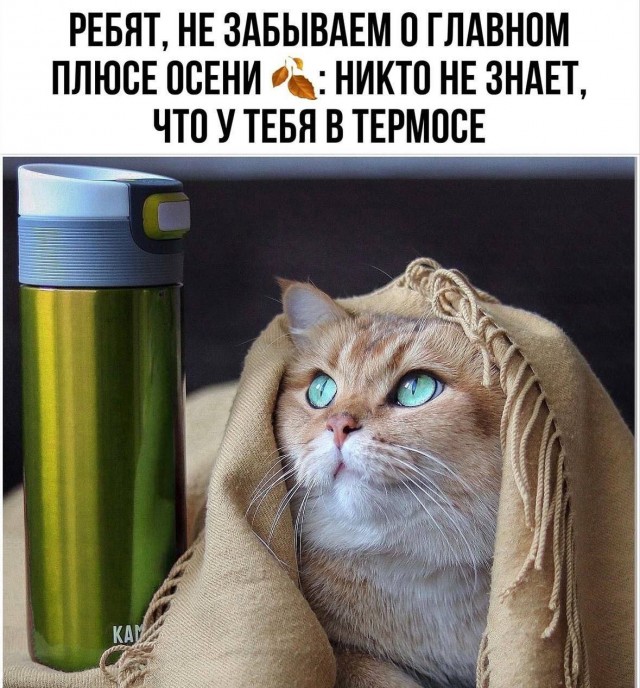 Картинки для деградации 92 (разной степени свежести)
