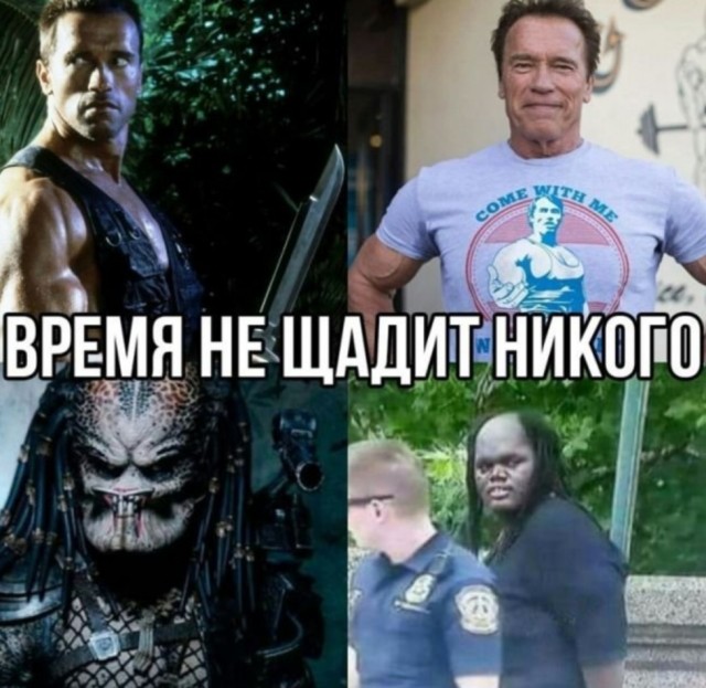 Так себе картинки 04.12.25