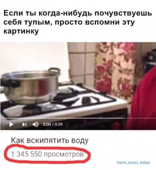 В России могут запретить беременным продавать алкоголь