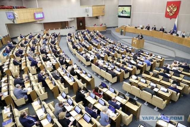 Россиян-тунеядцев хотят полностью лишить пенсии