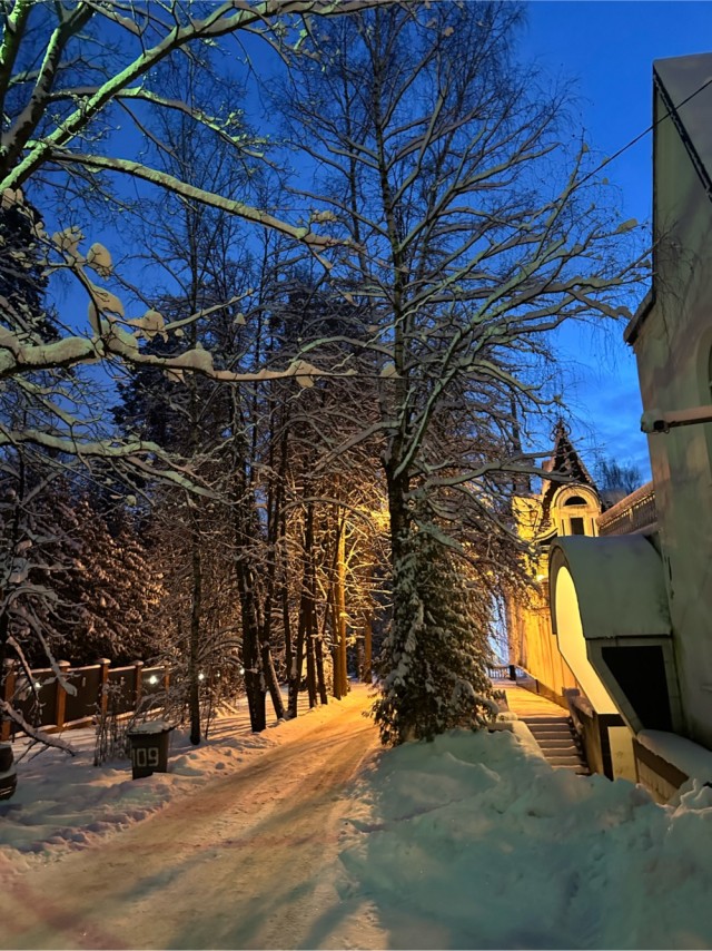 Зимняя дорога