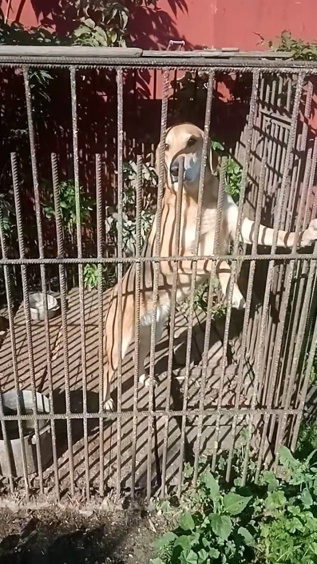 Эх люди