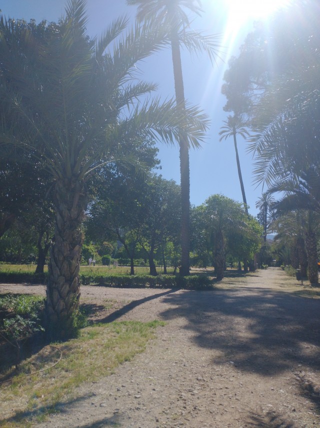 Мужчине не нужен брак