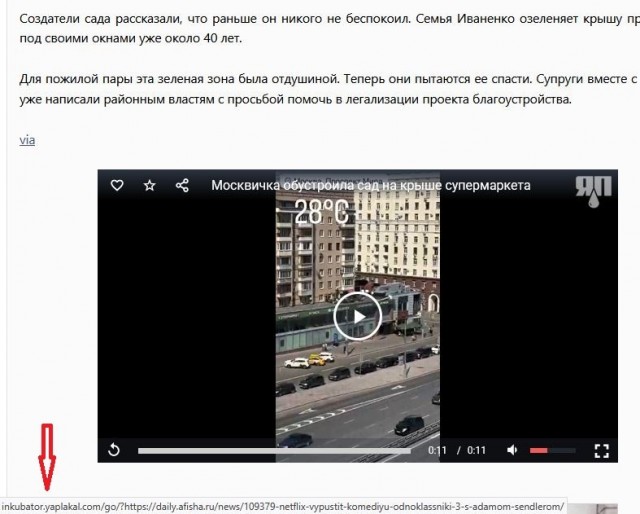 Москвичка обустроила сад на крыше супермаркета