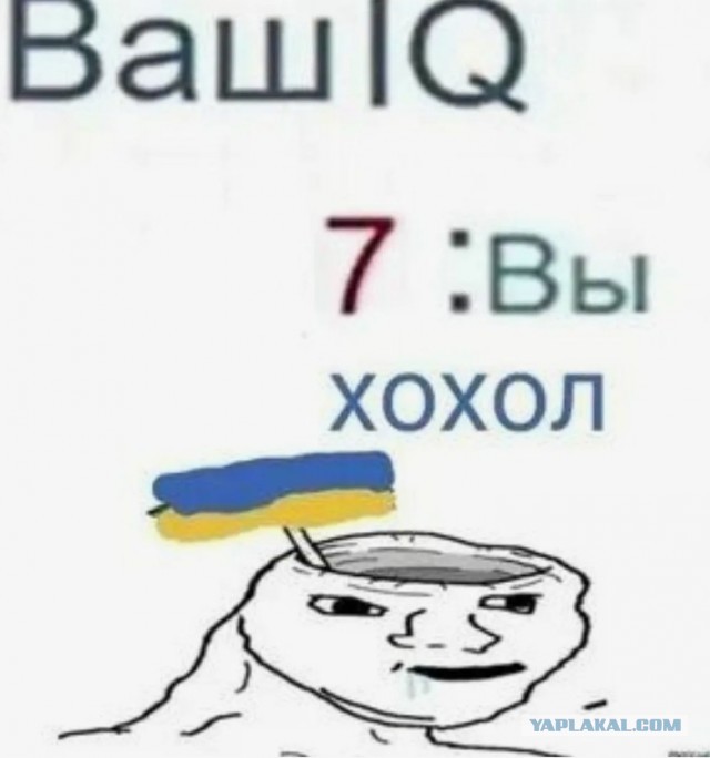 Дрова оказались важнее людей: как Курша-2 исчезла в огне и почему об этом молчали