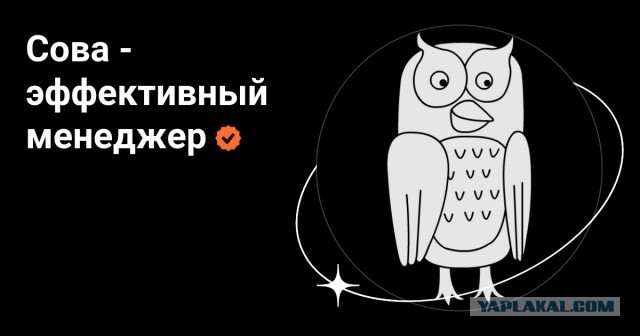 Москвичи придумали, как жить бесплатно