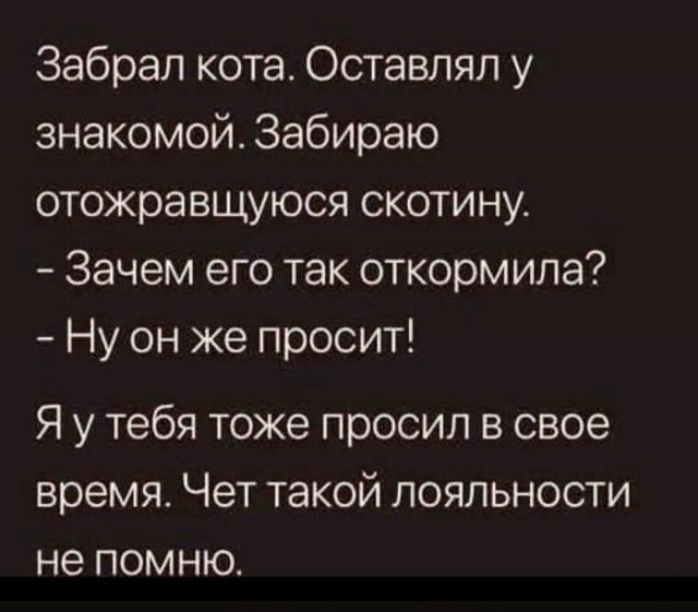 Веселые картинки в пятницу (28.08)