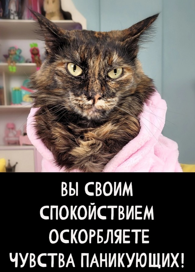 Об ответственности
