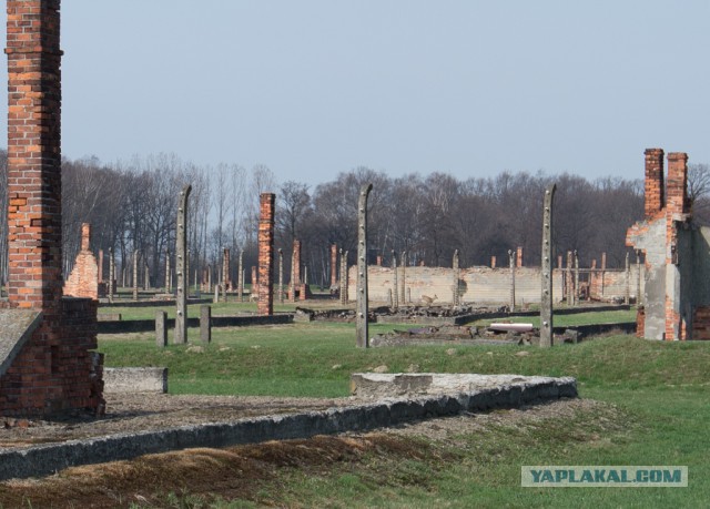 Освенцим своими глазами