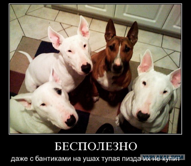 Куда деть 80 000р?