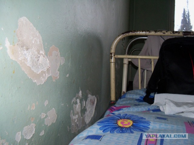 Как я побывал в Первой городской больнице