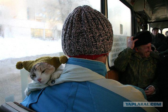 Зато тепло и не дует.