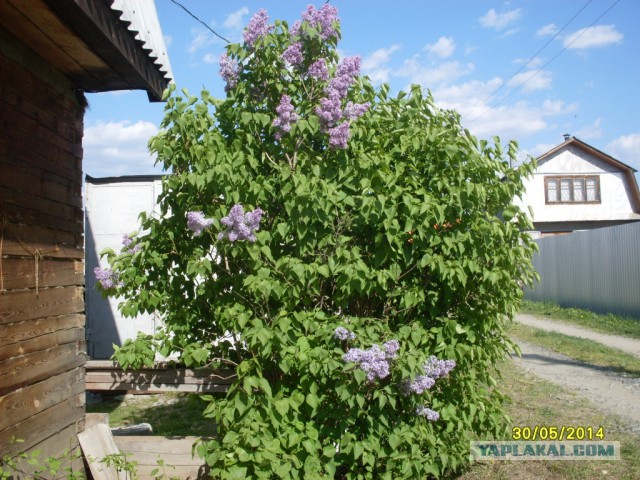 Деревенская Америка