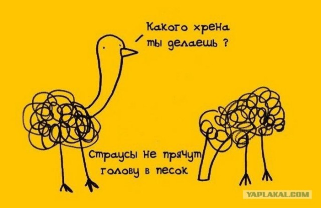 Занимательные факты в картинках