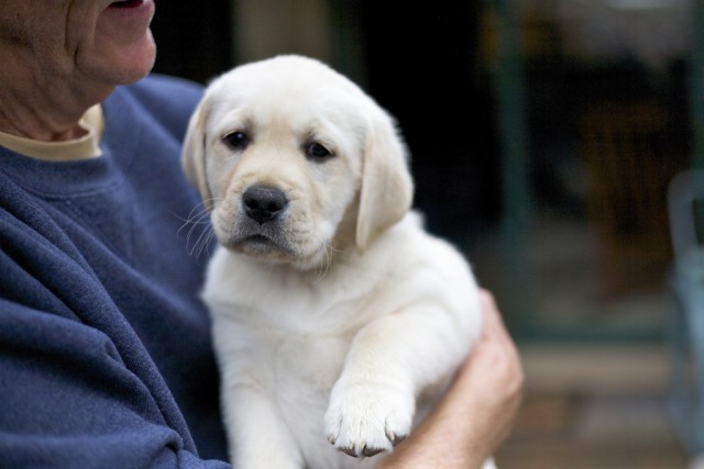 15 самых необычных услуг со всего мира