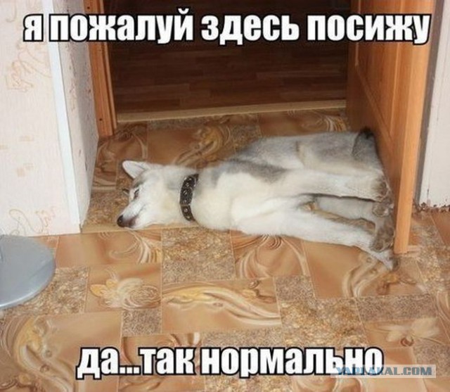 Моя подборка веселенькой мути
