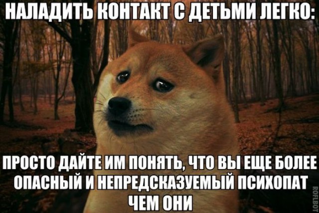 Весёлое из сети